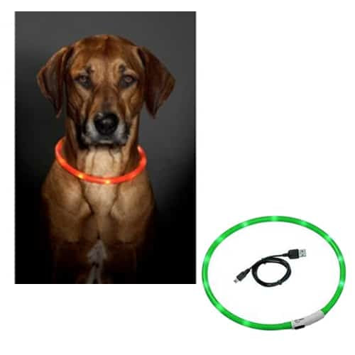 Coleira LED para cães, verde