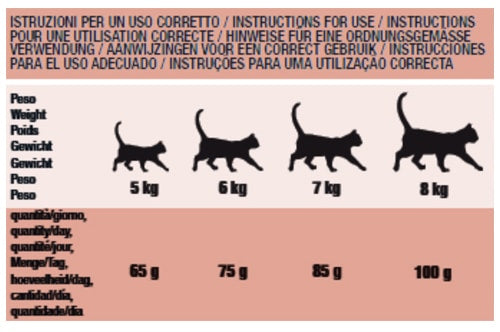 Ração para gatos Schesir Animal Protein Sensitive borrego, 1,5 kg – imagem 2