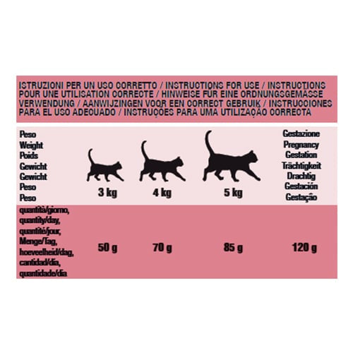 Ração para gatos Schesir Manutenção fiambre, 400 g – imagem 2