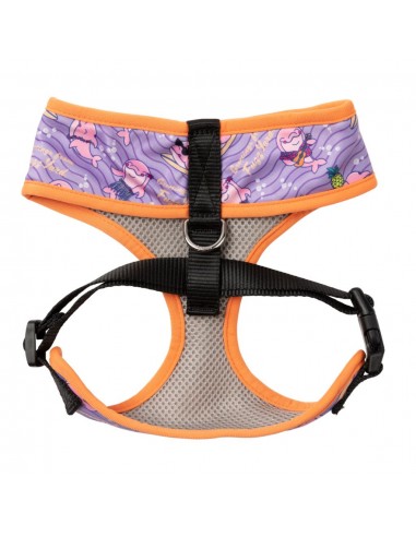 Peitoral respirável para cães FuzzYard Aloha Dolphins (tamanho S)