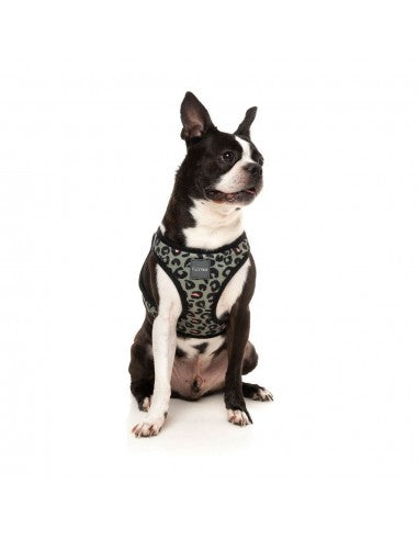 Peitoral step-in para cães FuzzYard Savanna respirável e refletor tamanho XL