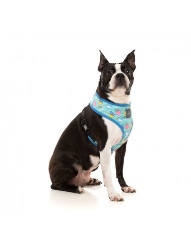 Peitoral para cão em lycra respirável FuzzYard Wakey Wakey