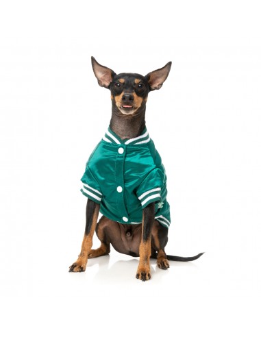 Casaco de basebol para cães FuzzYard Fastball verde