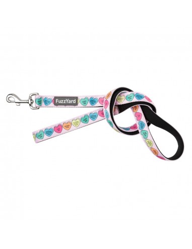 Trela acolchoada em neopreno para cães FuzzYard Candy Hearts (tamanho L)