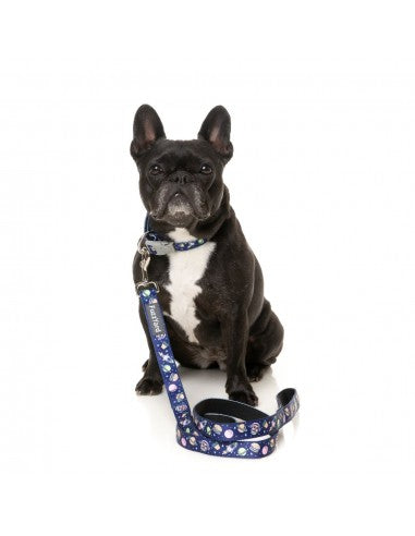 Trela em neopreno para cães FuzzYard Pluto Pup (tamanho L)