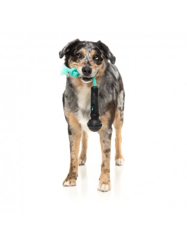 Brinquedo interativo para cães FuzzYard Mic Drop com corda e som