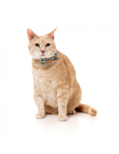 Coleira para gatos com laço FuzzYard Cheesy Hearts
