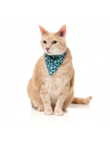 Coleira para gatos com laço FuzzYard Wild One Aqua