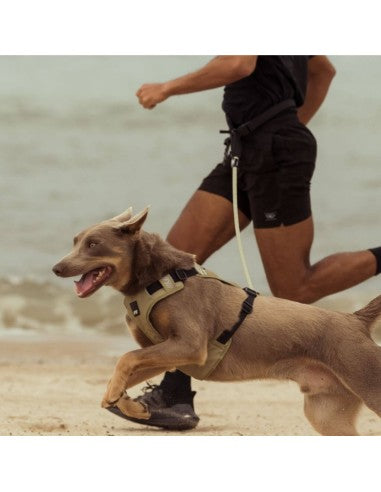 Cinto de corrida para cães FuzzYard FY Active tamanho S/M