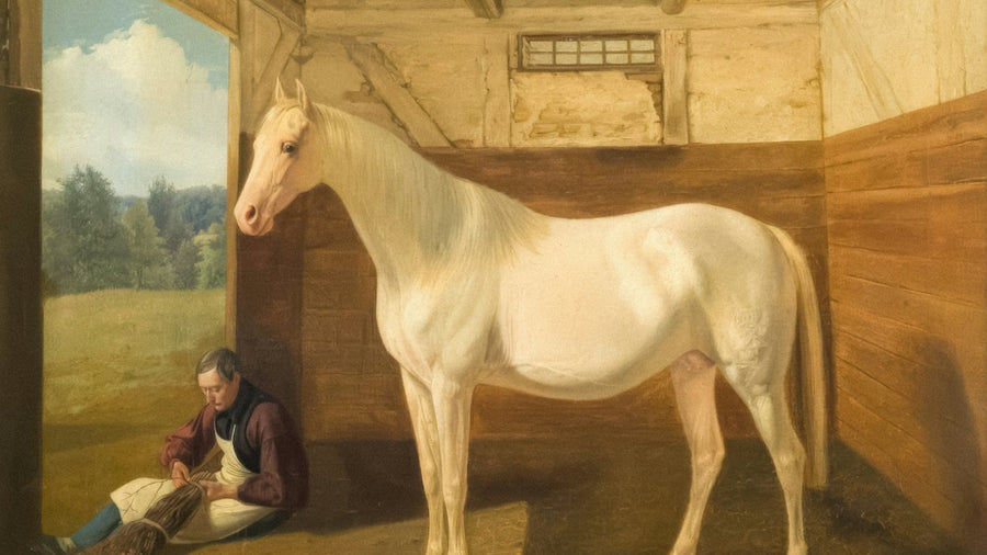 Caballo blanco en el establo junto a su cuidador