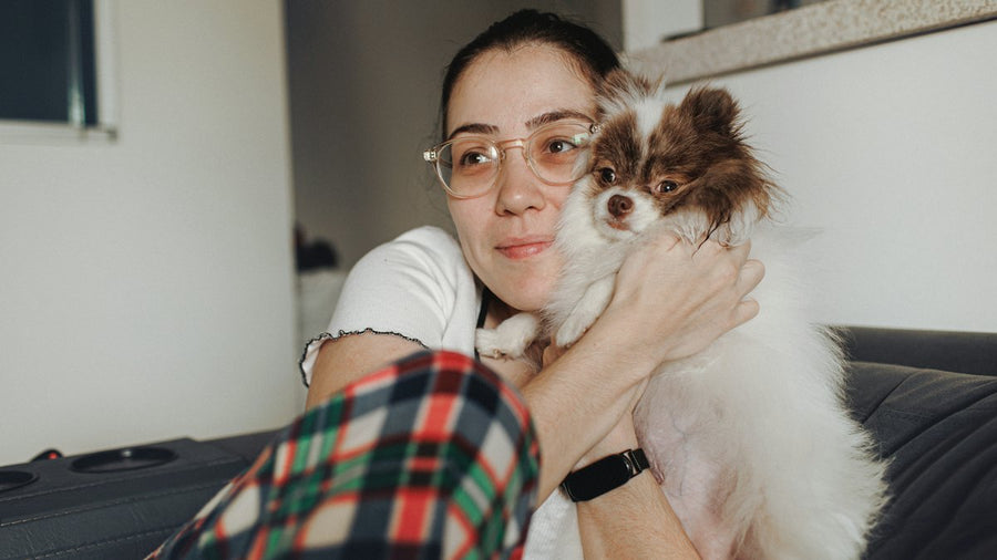 Mujer con un perro pequeño en el sofá