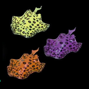 Raia Aqua Lumo decoração para aquário