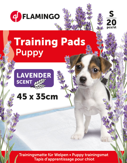 Resguardos de treino para cães T1 aroma a lavanda