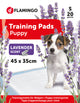 Resguardos de treino para cães T1 aroma a lavanda