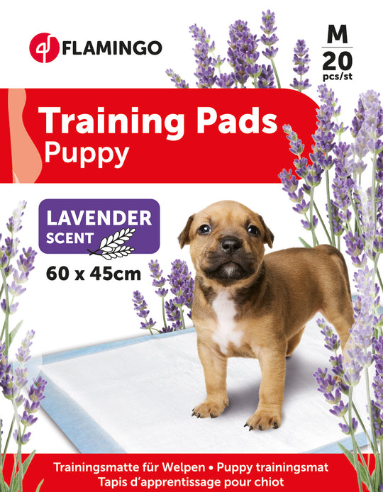 Resguardos de treino para cães T2 aroma a lavanda