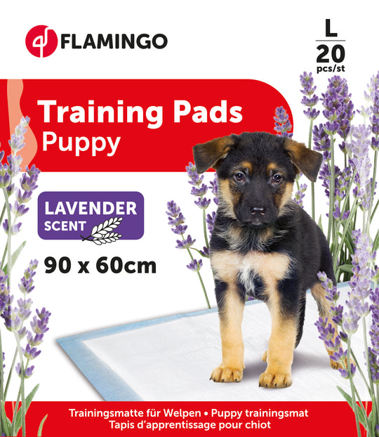 Resguardos para cães aroma lavanda, tamanho 3