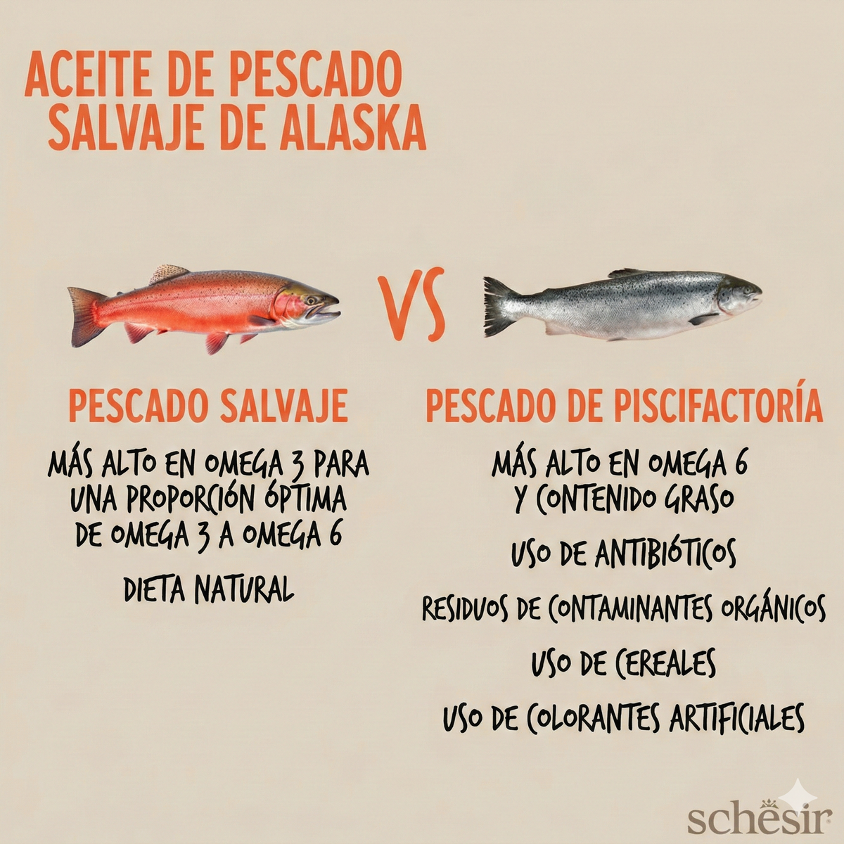 Óleo de salmão do Alasca Grizzly da Schesir