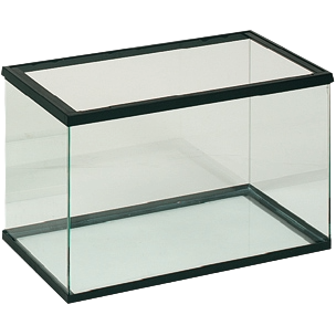 Aquário de vidro preto