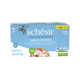 Comida húmida para gatos Schesir atum com robalo, 6 × 50 g, multipack