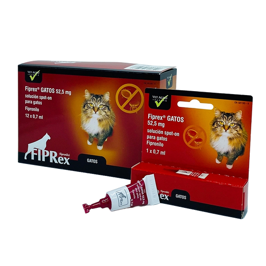 Pipetas Fiprex para gatos
