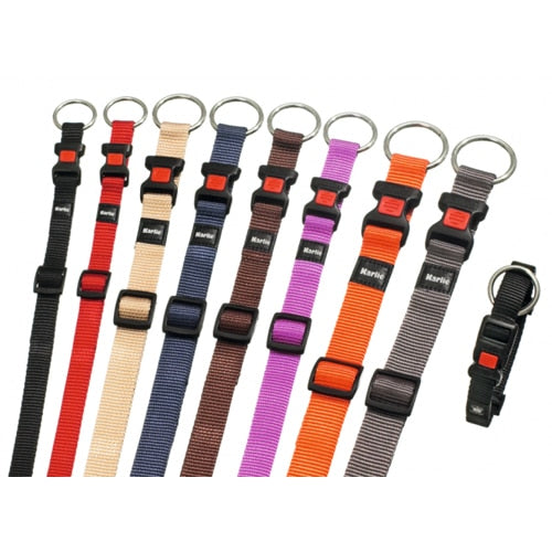 Coleira para cães Art Sportiv Plus, tamanho 4 (XL), cinzento