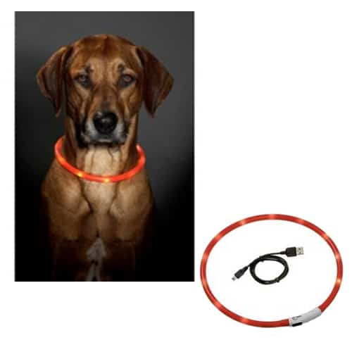 Coleira LED para cães, laranja