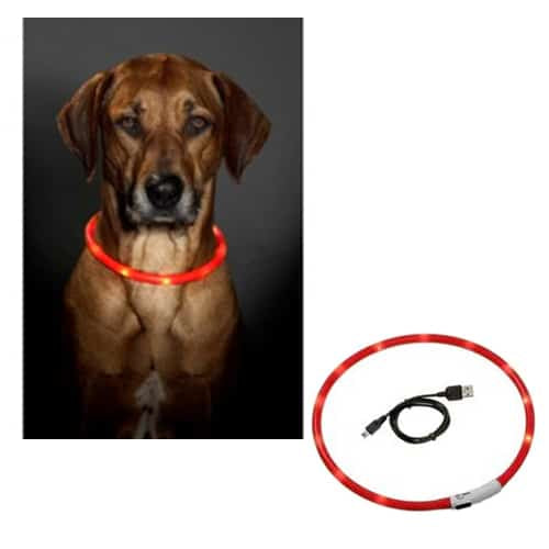 Coleira LED para cães, vermelho