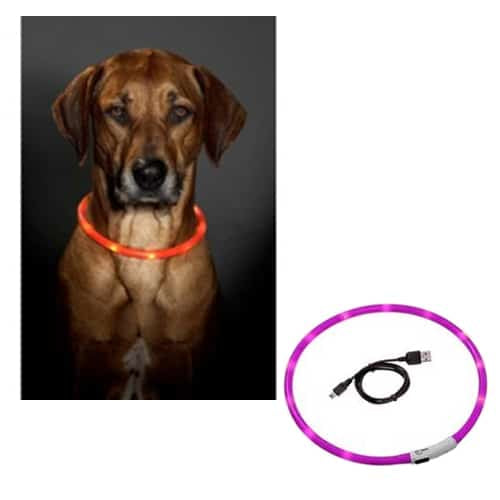 Coleira LED para cães, rosa