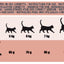 Ração para gatos Schesir Animal Protein Sensitive borrego, 1,5 kg – imagem 2