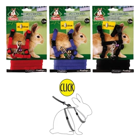 Peitoral e trela para coelhos