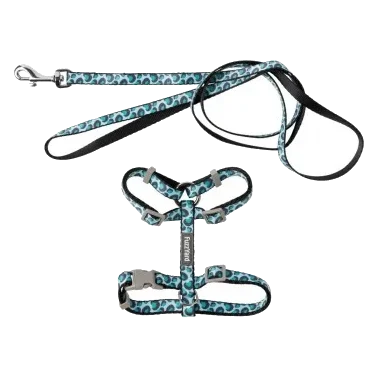 Peitoral para gatos com trela FuzzYard Wild One Aqua