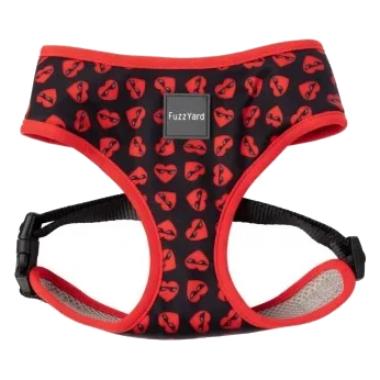 Peitoral respirável para cães FuzzYard Heartbreaker