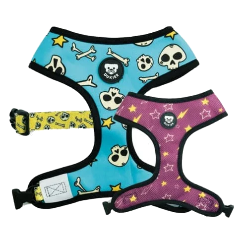Peitoral reversível Dukier Calaveras para cães, azul e roxo, tamanhos T1 a T4