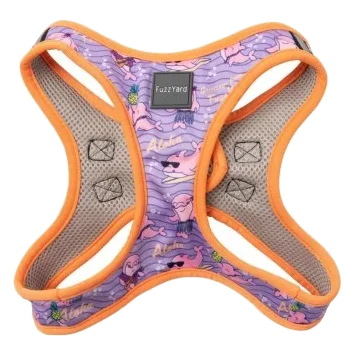 Peitoral step-in para cão FuzzYard Aloha Dolphins respirável