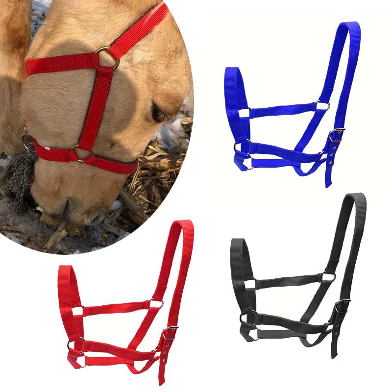 Cabezada de cuerda ajustable para caballo - vista 2