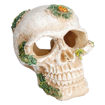 Caveira decoração para aquário