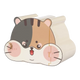 Casinha esconderijo para hamster com desenho tricolor
