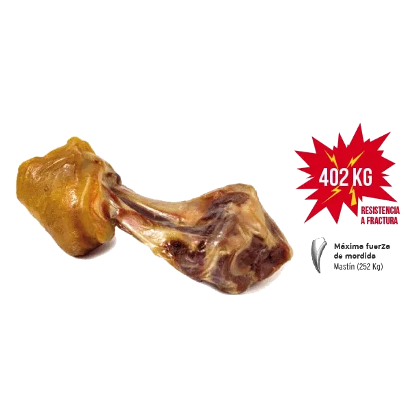Chispe de presunto serrano para cães Mediterranean, 550 g
