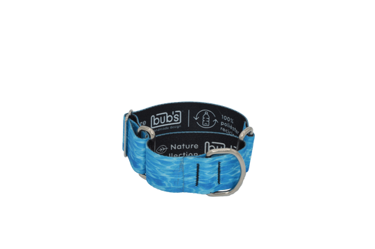 Coleira martingale Bub's Aqua para cães, tamanho S
