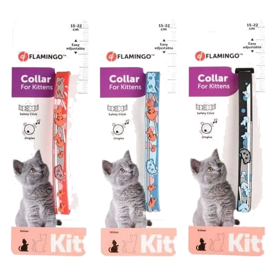 Coleira para gatinhos Nanou, 15–22 cm, 10 mm, sortido