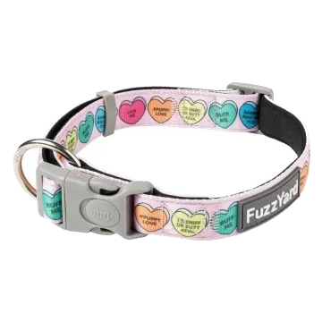 Coleira para cão em neopreno FuzzYard Candy Hearts