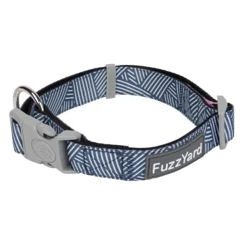 Coleira para cães em neopreno almofadado FuzzYard Thornbury Aegean Blue
