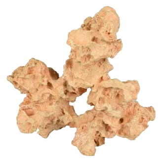 Coral Sahara grande decoração para aquário