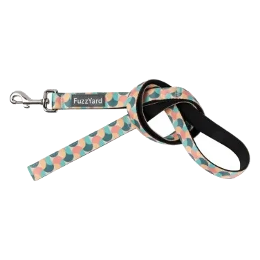 Trela para cão FuzzYard Carioca em neopreno acolchoado