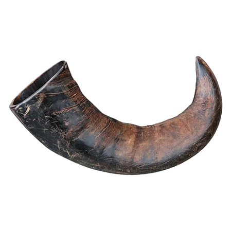 Chifre de búfalo para cães, 15 e 20 cm