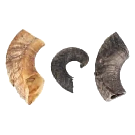 Corno de borrego Nature para cães, 200 g