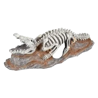 Esqueleto de crocodilo decoração para aquário