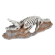 Esqueleto de crocodilo decoração para aquário