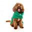 Casaco para cão de gola alta FuzzYard The Snuggle, verde (tamanho 1)