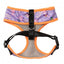 Peitoral respirável para cães FuzzYard Aloha Dolphins (tamanho XS)